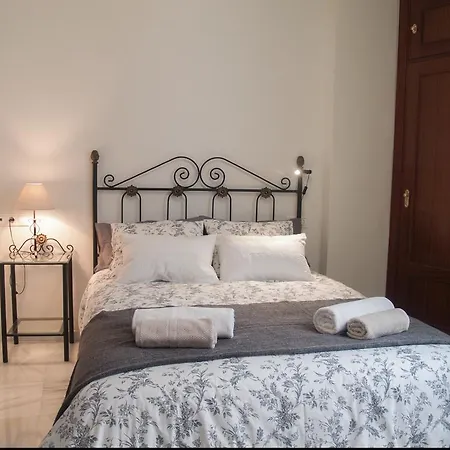 Apartment Fan Flat Rosaleda Malaga