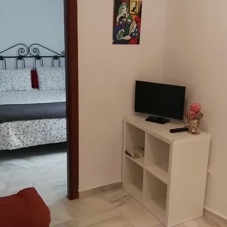 Fan Flat Rosaleda *