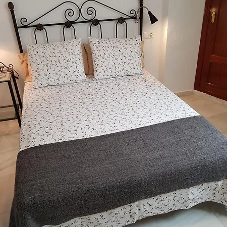 Fan Flat Rosaleda Apartment Malaga