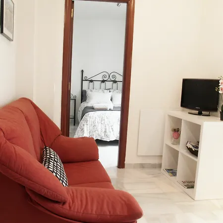 Fan Flat Rosaleda Malaga