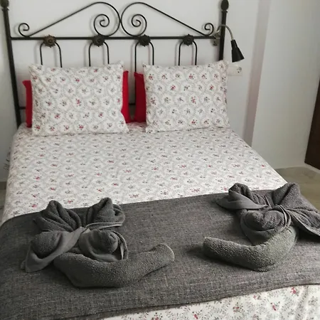 Fan Flat Rosaleda Malaga