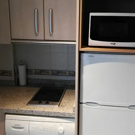 Apartment Fan Flat Rosaleda *