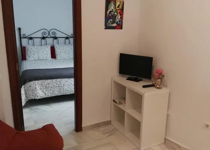 Fan Flat Rosaleda *