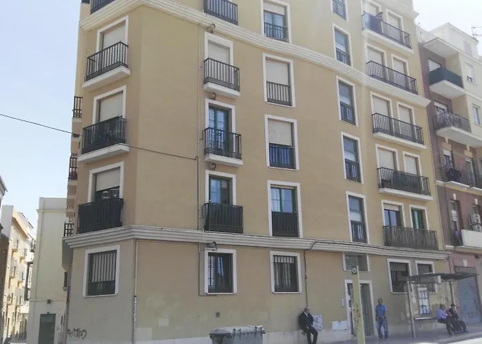 Fan Flat Rosaleda *